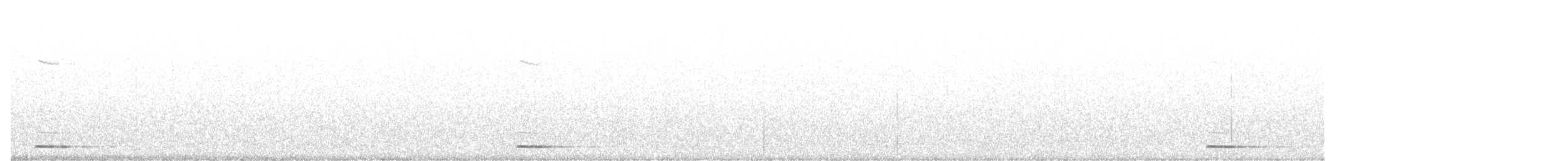 gnomugle (californicum gr.) (tusseugle) - ML617098860