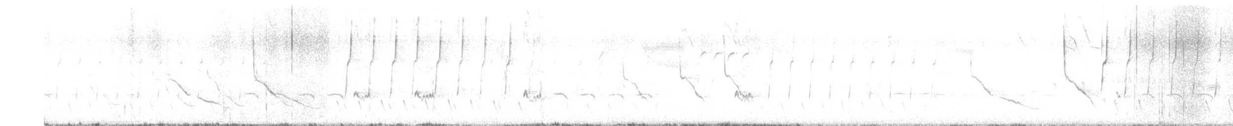 Ash-throated Flycatcher - ML617100213