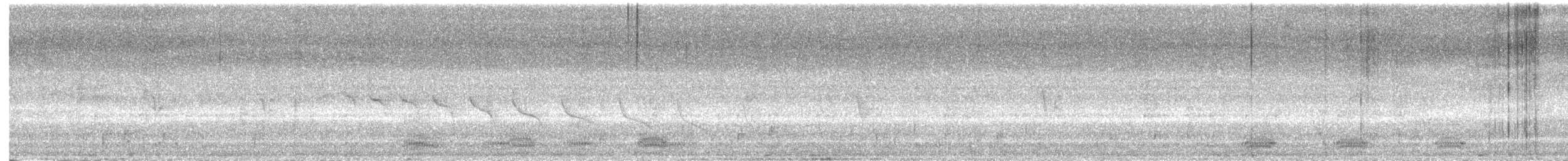 Каньонный крапивник - ML617101497