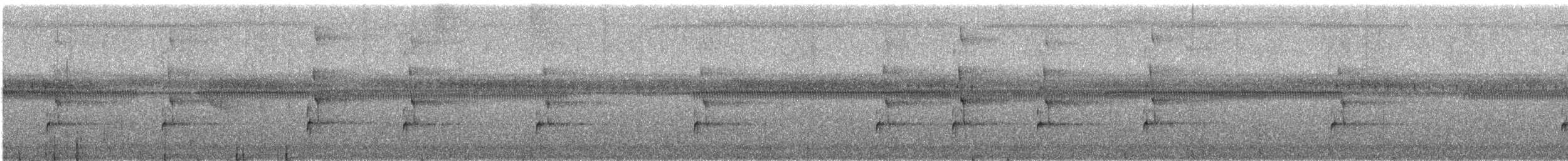 Bindenarassari - ML617101593