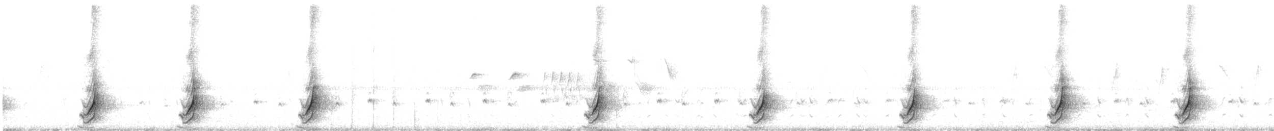 斑胸秧雞 - ML617102205