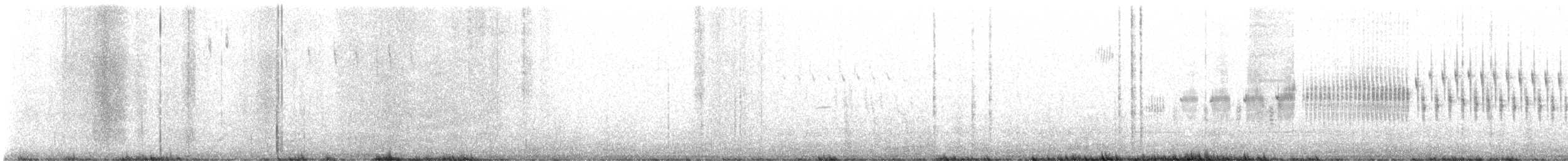 Пересмішник осоковий - ML617102504