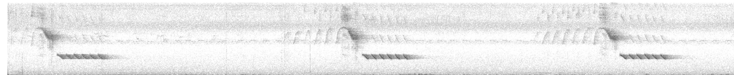 Troglodyte à poitrine blanche - ML617102594