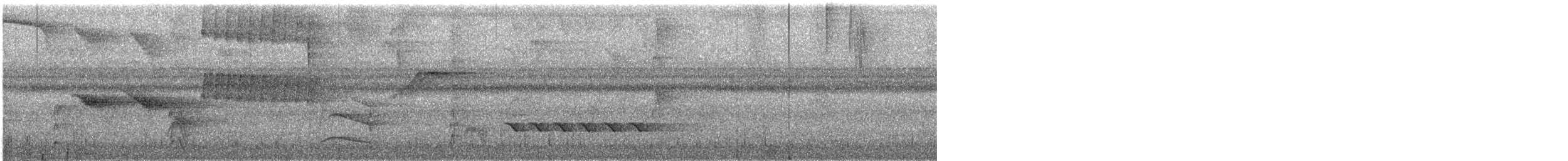 Lawrence's Thrush - ML617103871