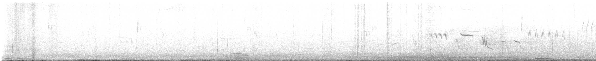 גיבתונית לבנת-גבה - ML617110103
