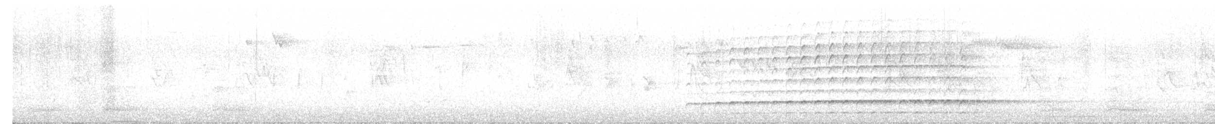 hvitbrynsvartspett - ML617110849