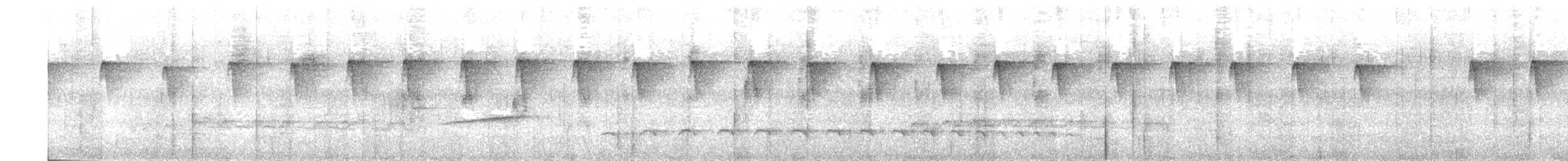 Checker-throated Stipplethroat - ML617111002