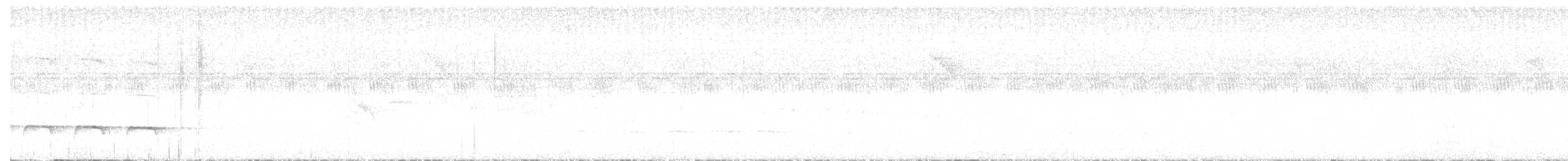 Weißbinden-Ameisenvogel - ML617111672