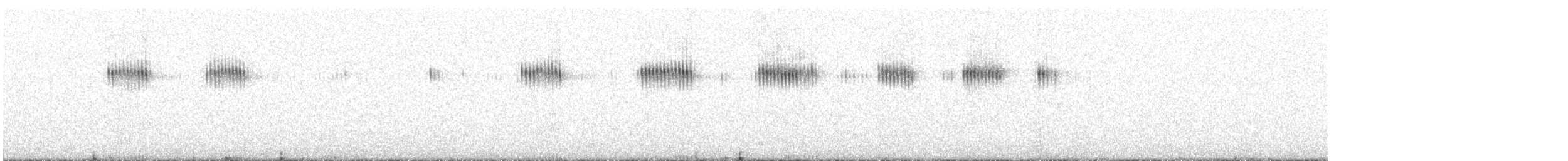 Широкохвостый колибри - ML617112100