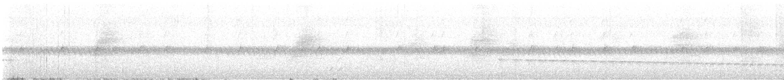 Weißstirn-Ameisenschnäpper - ML617113903