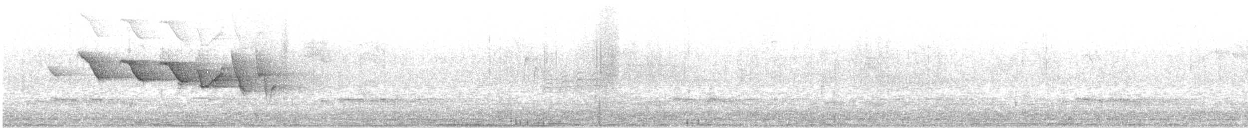 Трясогузковый певун - ML617114959