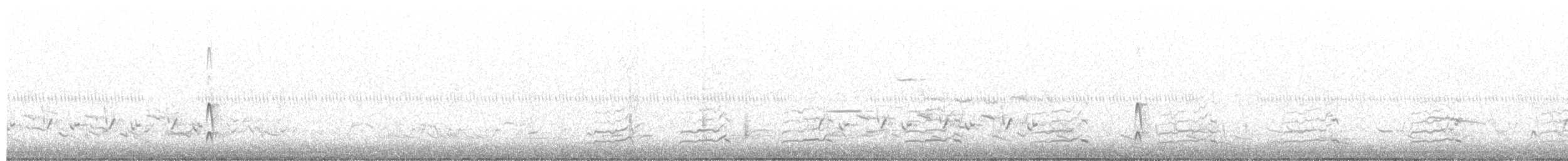 Çatal Kuyruklu Tiran - ML617115242