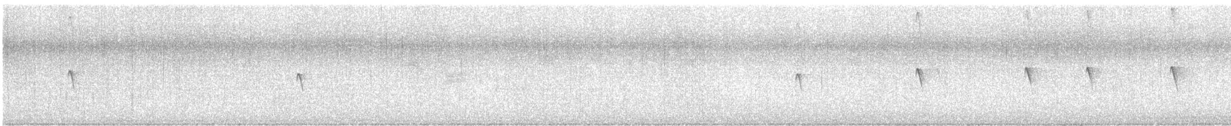 Чёрный фиби - ML617115592