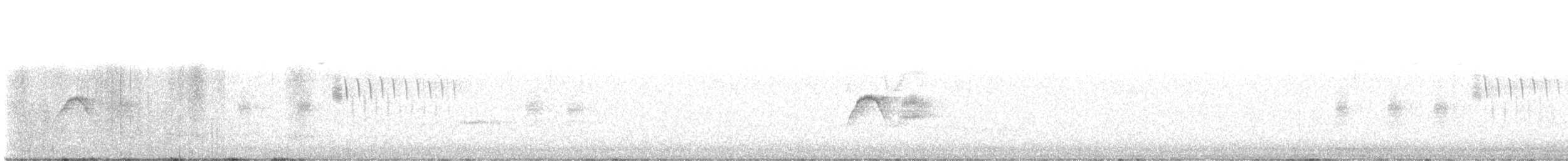 Светлобрюхий фиби - ML617117620