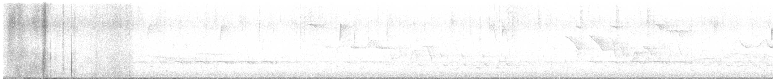 Трясогузковый певун - ML617117824