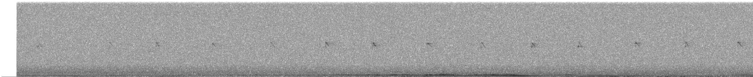 Бор шувууны багын тодорхойгүй зүйл - ML617118084