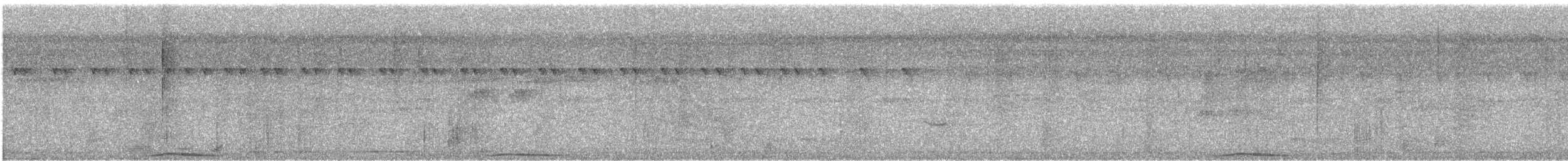 holub černobradý - ML617120001