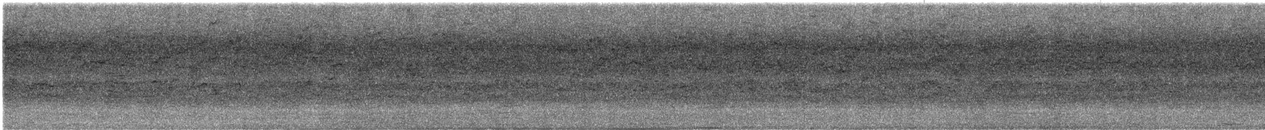 彩虹吸蜜鸚鵡 - ML617120310