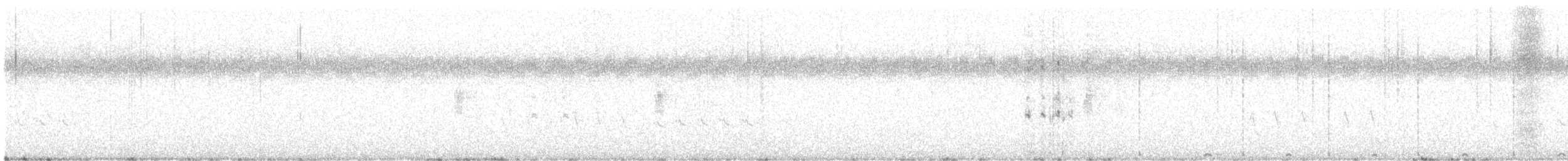 holub chocholatý - ML617120476