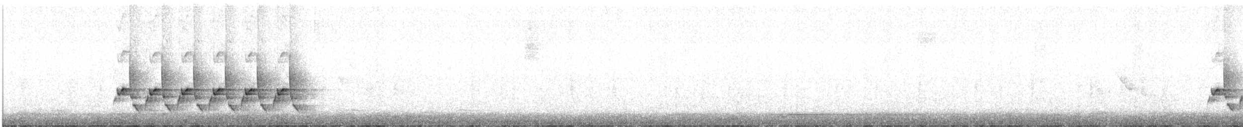 Каролинский крапивник [группа berlandieri] - ML617122126