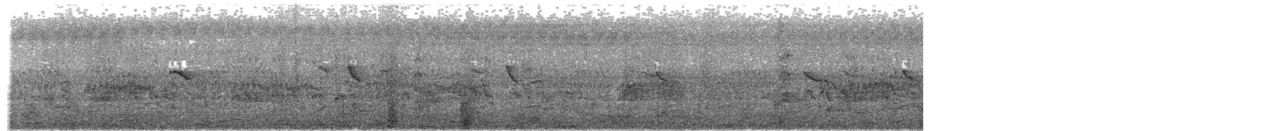 Черноголовый ибис - ML617123287