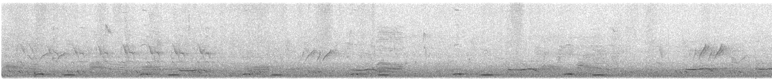 Cuculo - ML617125227