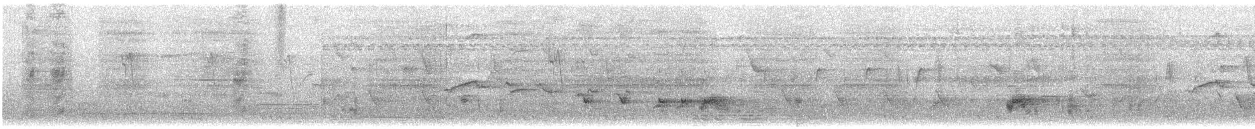 Indian Paradise-Flycatcher - ML617125236