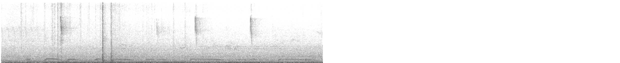 Белокрылая горлица - ML617126863