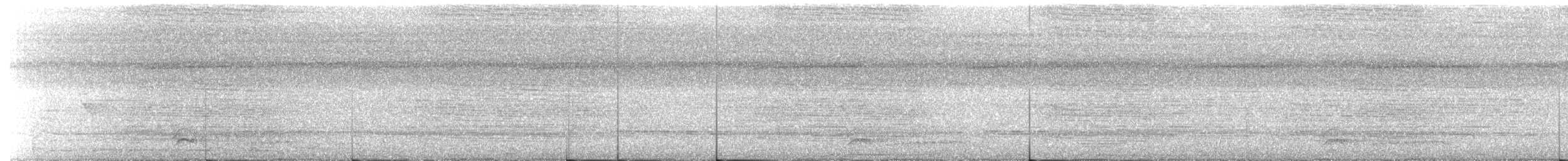 svartnakkemaurvarsler - ML617127626