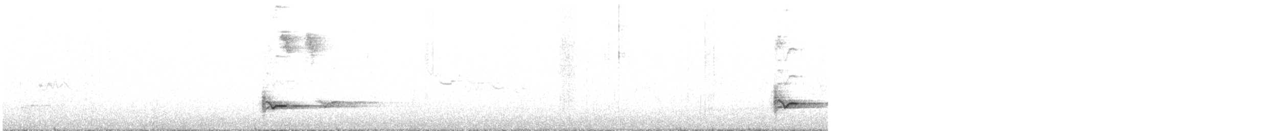 Siffleur gris - ML617130078