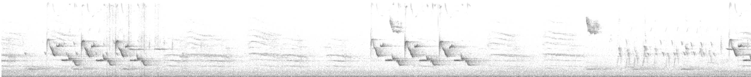 Каролинский крапивник - ML617130500