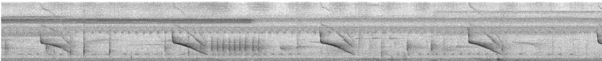 Мурав’янка-куцохвіст цяткована - ML617132128
