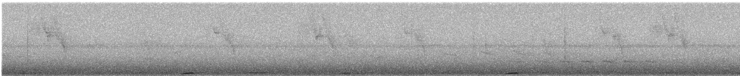 Motmot caraïbe (argenticinctus) - ML617136598