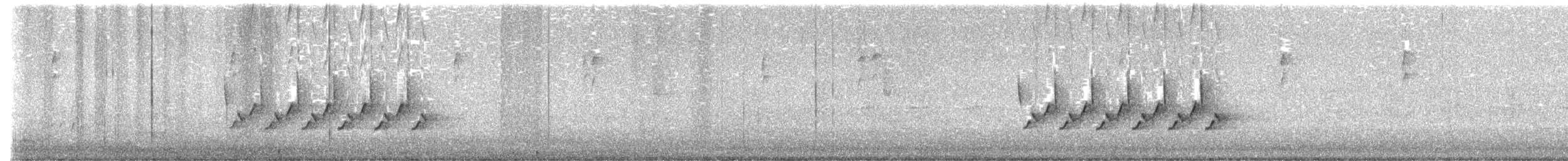 チャバラマユミソサザイ - ML617137036