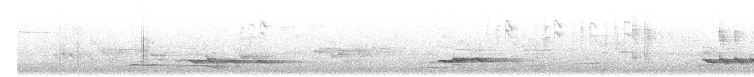 קיכלי גדול - ML617138387