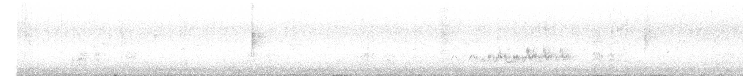 Amerika Çütresi (californicus) - ML617139244