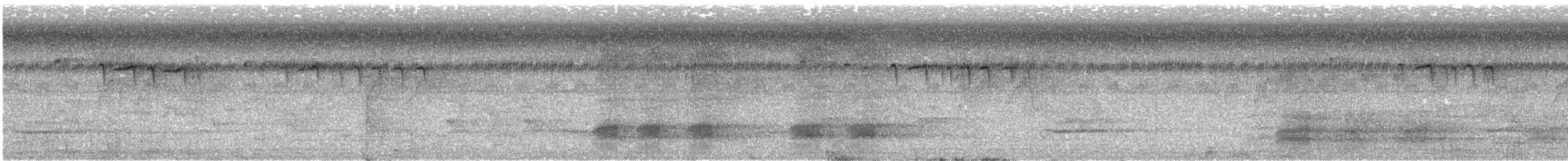 パラワンガラス - ML617139263