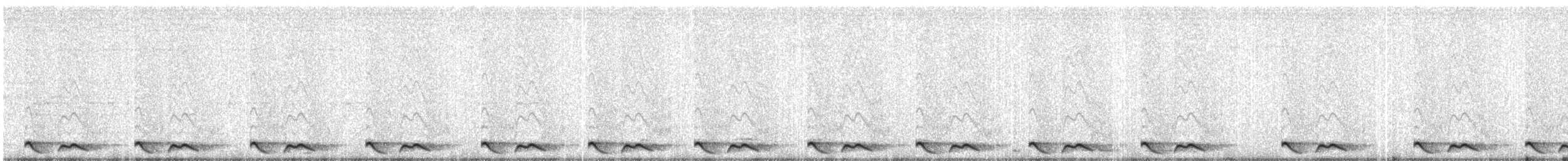 Chotacabras Ticuer - ML617141494