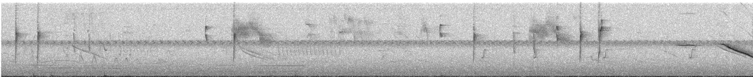 Белокрылая пиранга - ML617143017