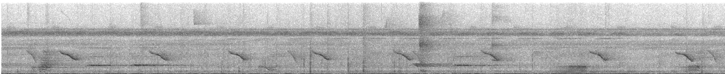 Kurzschwanz-Ameisenschlüpfer - ML617145862
