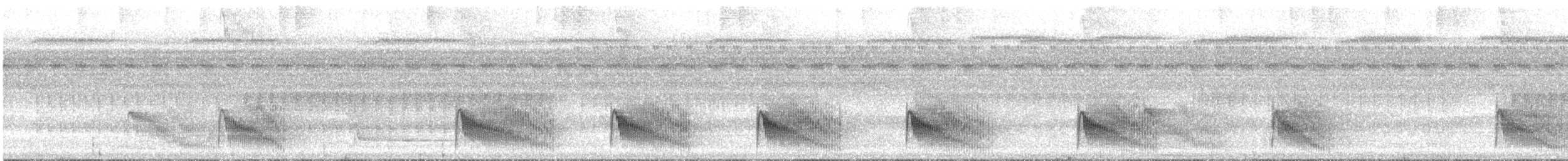 Rotspiegel-Ameisenvogel - ML617145921