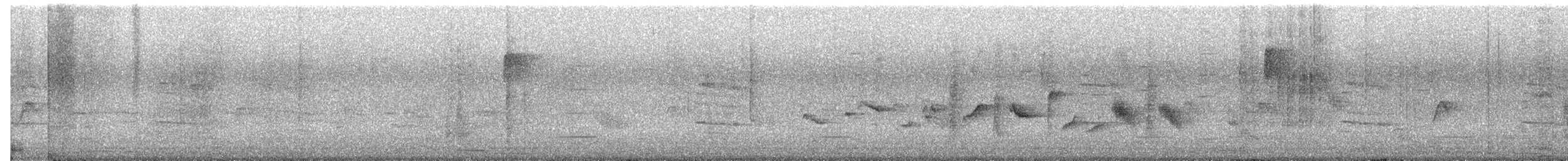 Oriole des vergers - ML617146241
