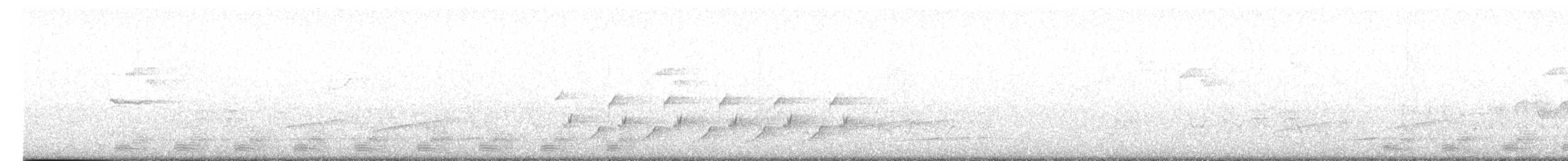 Trogon élégant (groupe ambiguus) - ML617147073