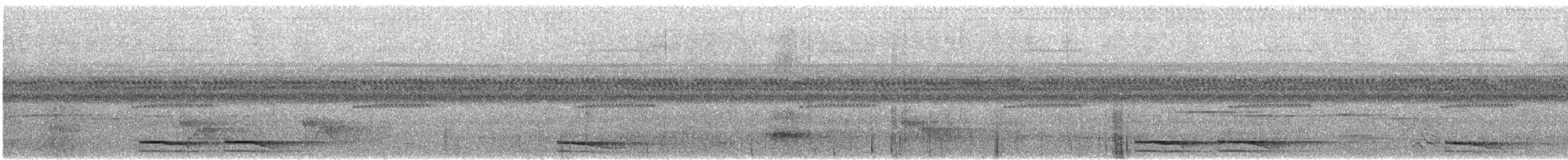 Buckley's Forest-Falcon - ML617147223