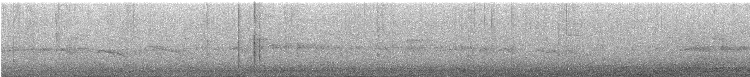 オオツリスアマツバメ - ML617147836