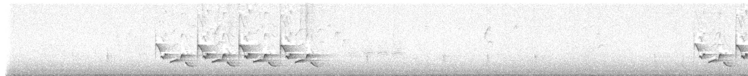 Поплітник каролінський - ML617155770