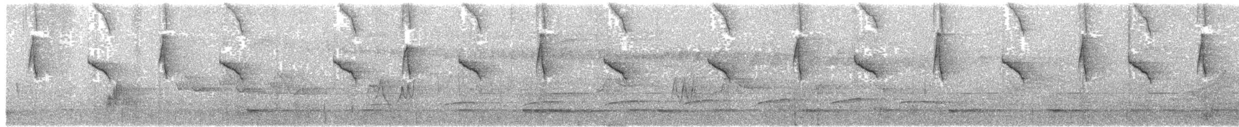 Тёмногорлый колибри-отшельник - ML617155971