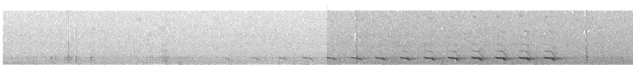 Trogon à queue blanche - ML617156648
