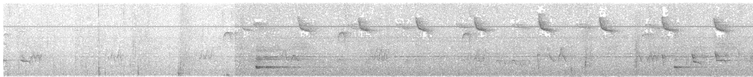 Serra do Mar Tyrant-Manakin - ML617159637