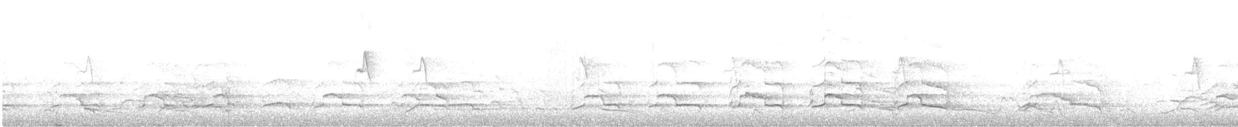 Carnaby Siyah Kakadusu - ML617162421